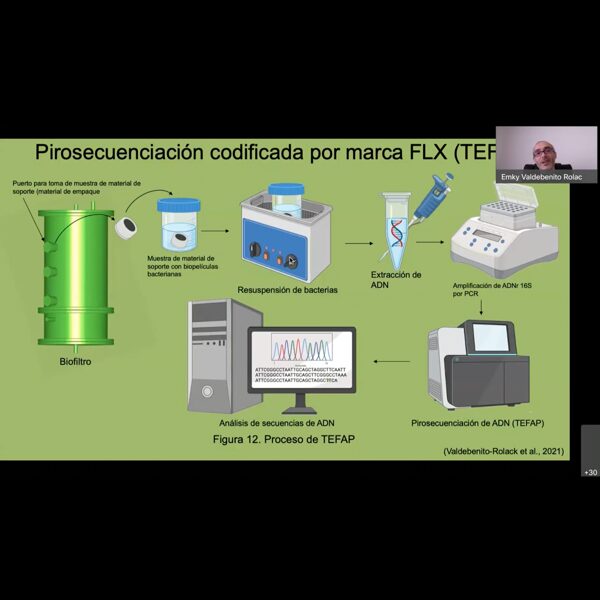 Asesorías y capacitaciones en microbiología ambiental e industrial.