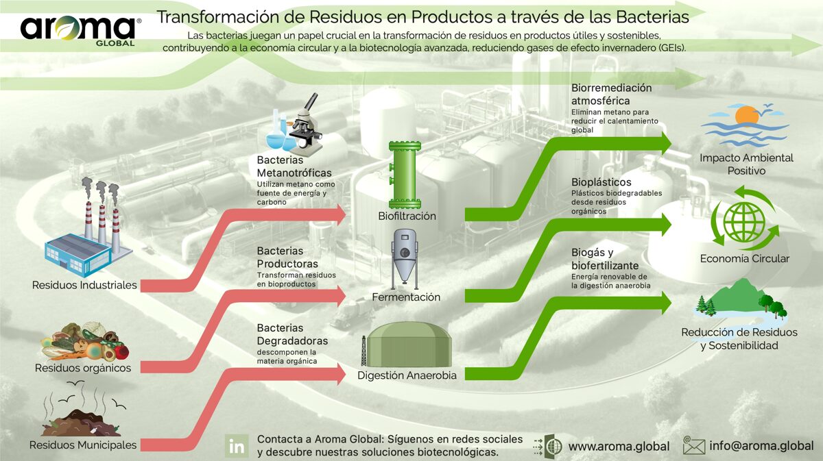 infografia_transformacion_de_residuos_mediante_bacterias.jpg