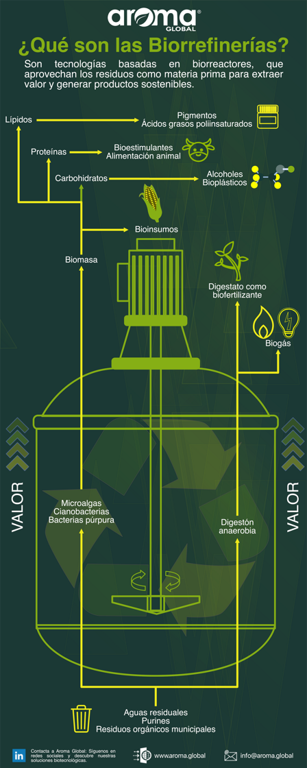 ¿Qué son las biorrefinerías?